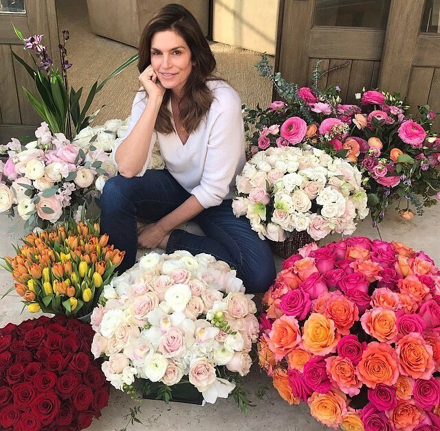 Синди Кроуфорд