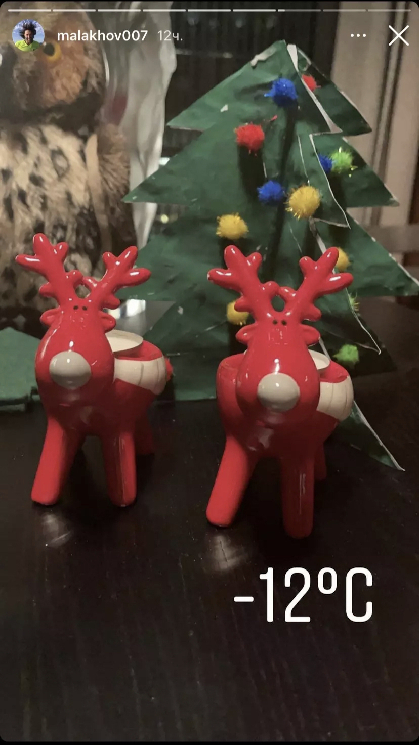 Новогодний декор квартиры Андрея Малахова