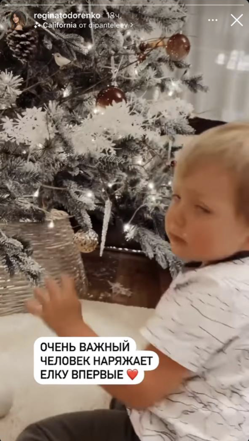 Новогодний декор квартиры Регины Тодоренко