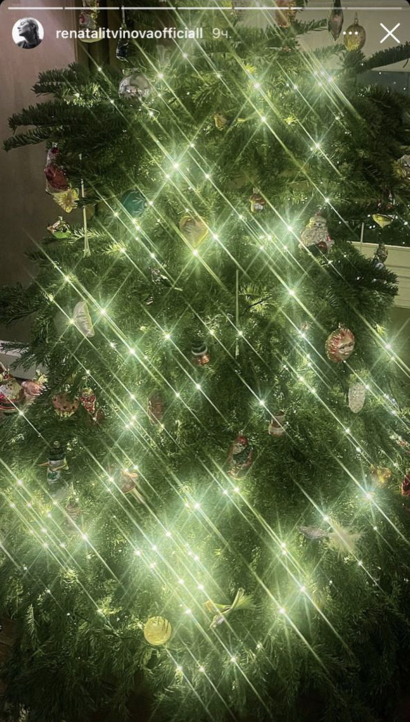 Новогодний декор квартиры Ренаты Литвиновой