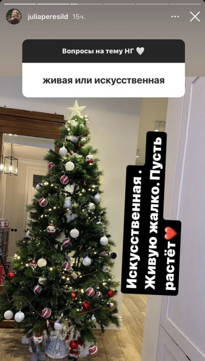 Новогодний декор квартиры Юлии Пересильд