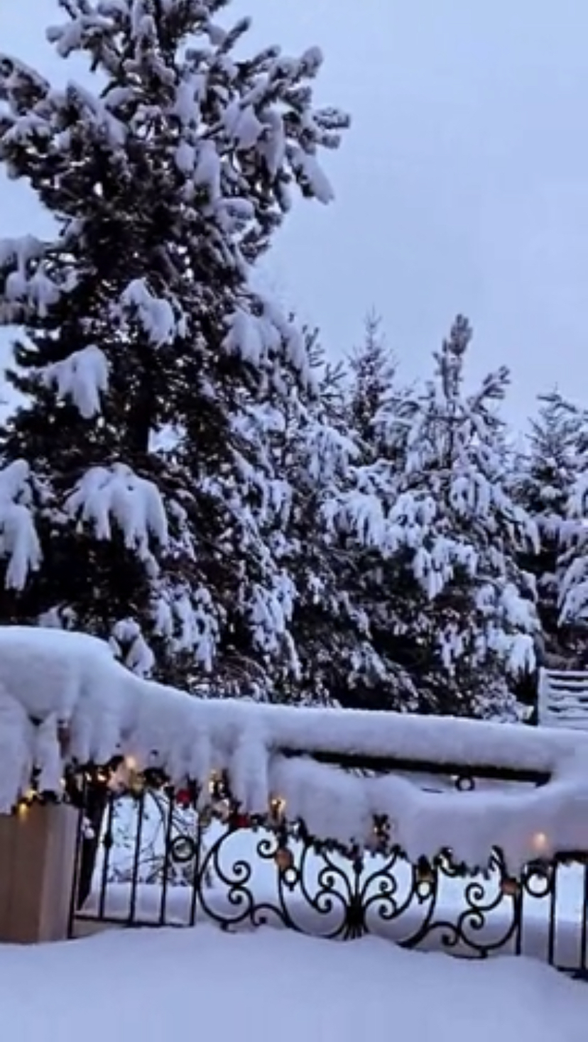 Новогодний декор загородного дома Ани Лорак