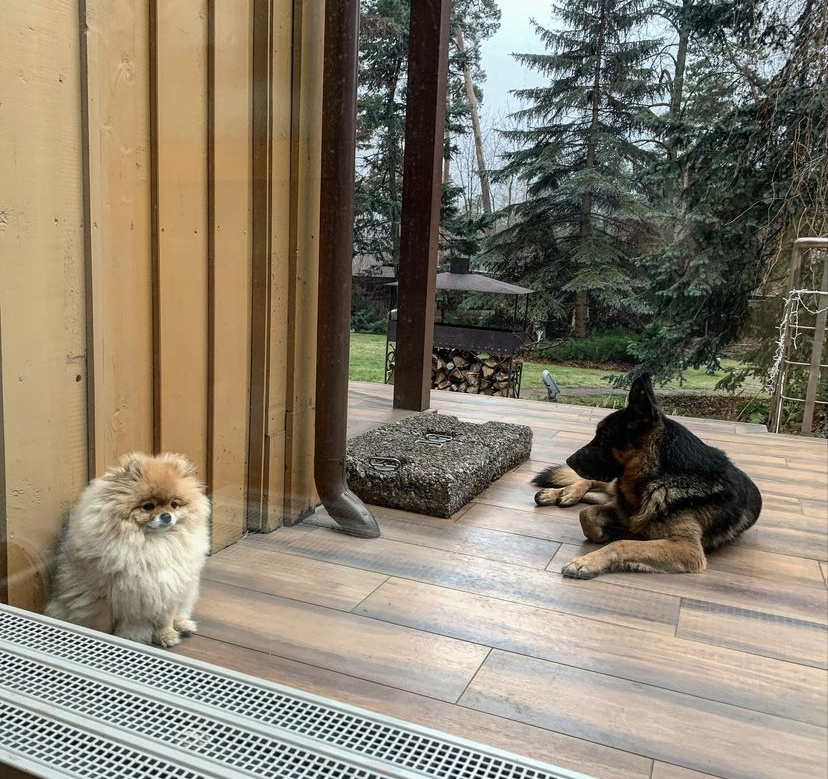 Интерьер загородного дома семьи Олега Газмановых