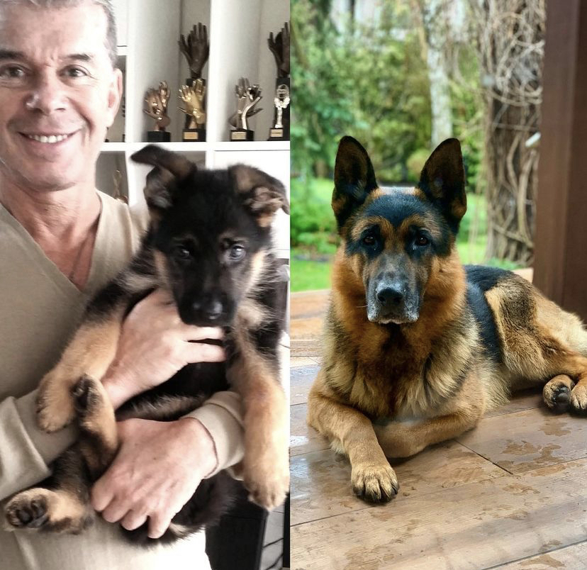 Интерьер загородного дома семьи Олега Газмановых