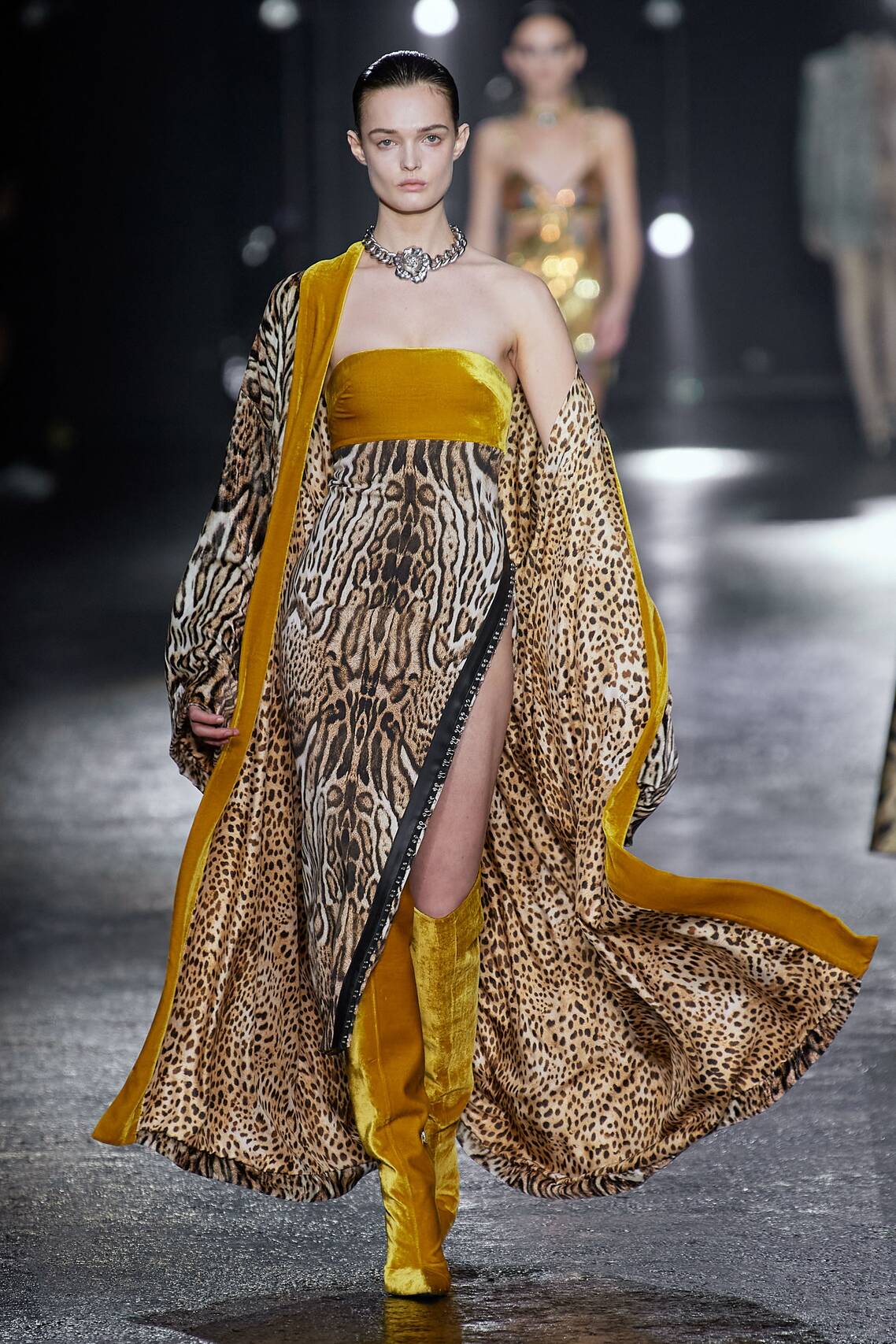 Roberto Cavalli Fall 2022