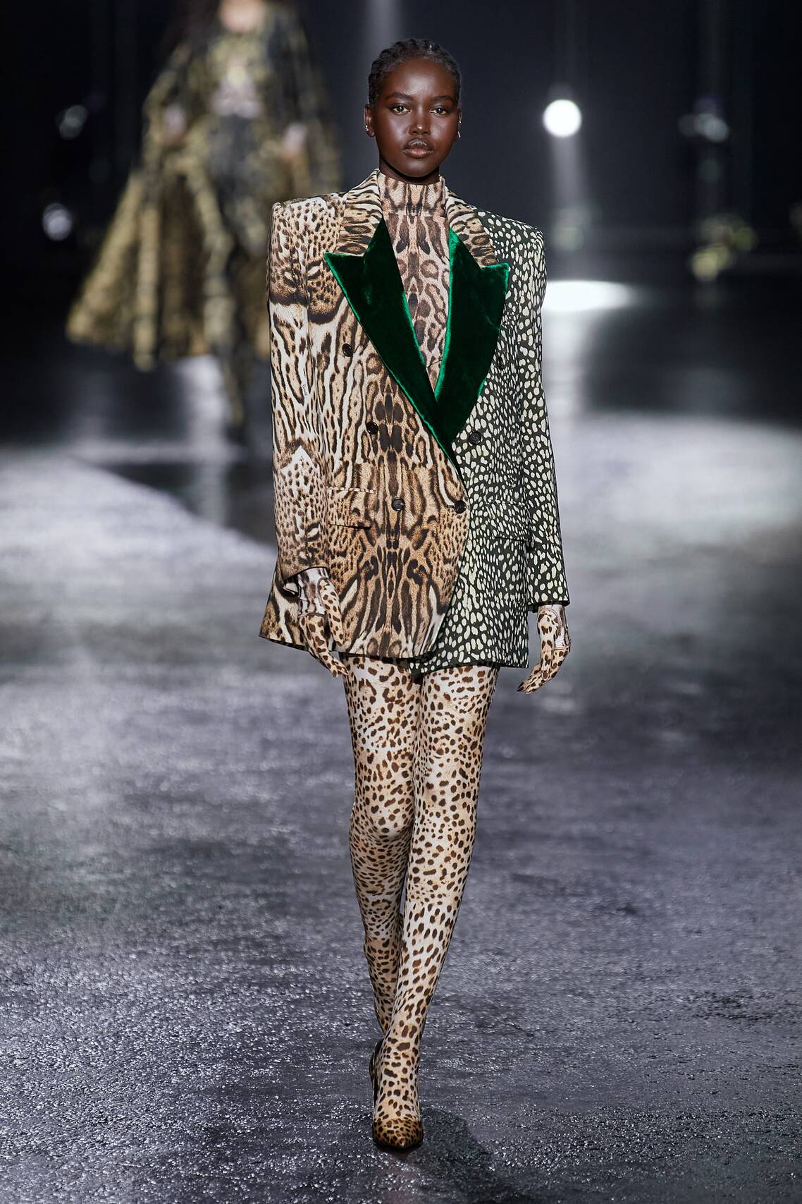 Roberto Cavalli Fall 2022