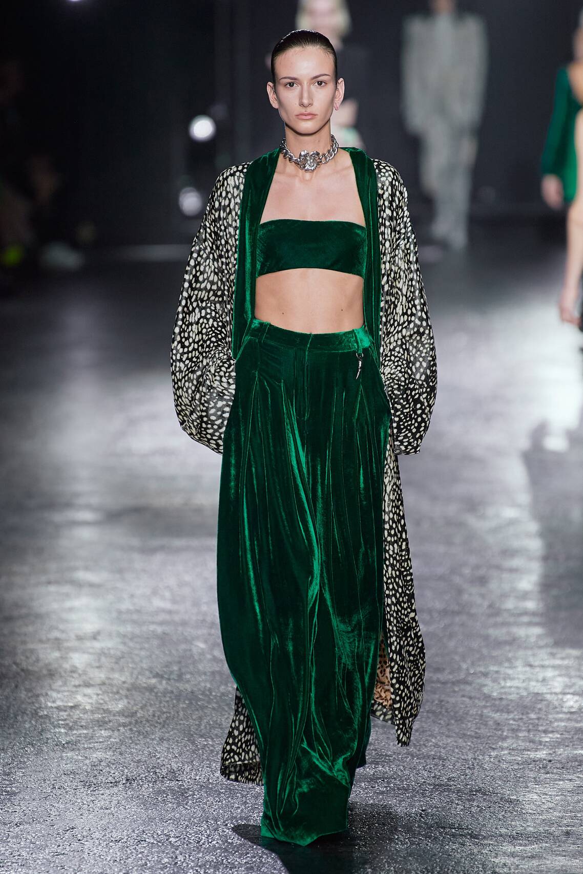 Roberto Cavalli Fall 2022