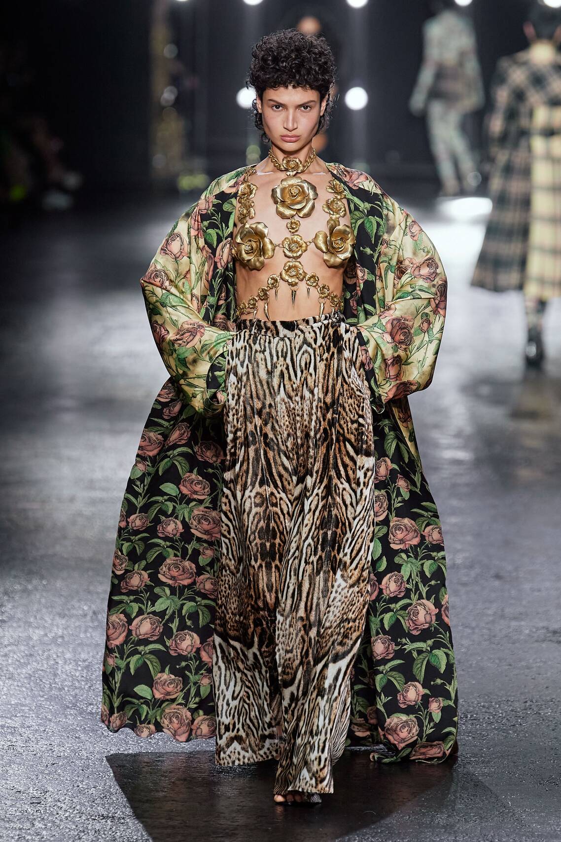Roberto Cavalli Fall 2022