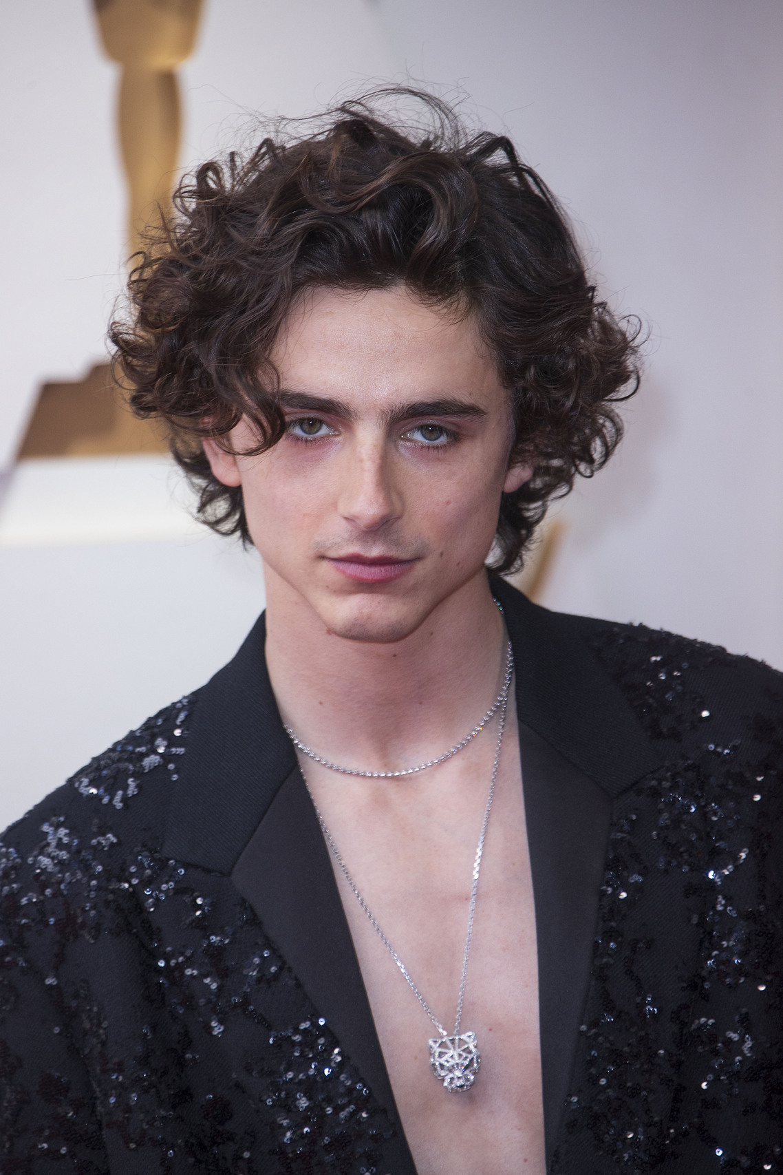 Тимоти шаломе оскар 2022. Тимоти шаламе oscar 2022. Шаламе оскар 2022. Тимоти шаламе оскар. Тимоти шаламе.