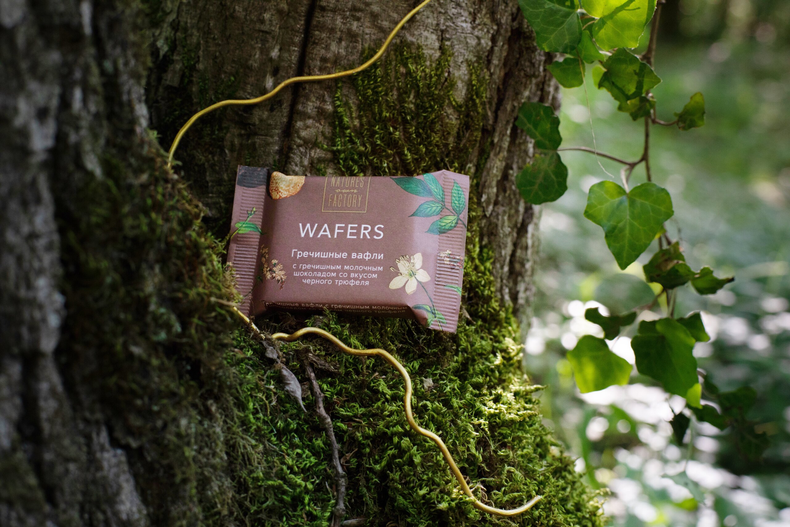 Новая линейка продуктов Nature’s own factory
