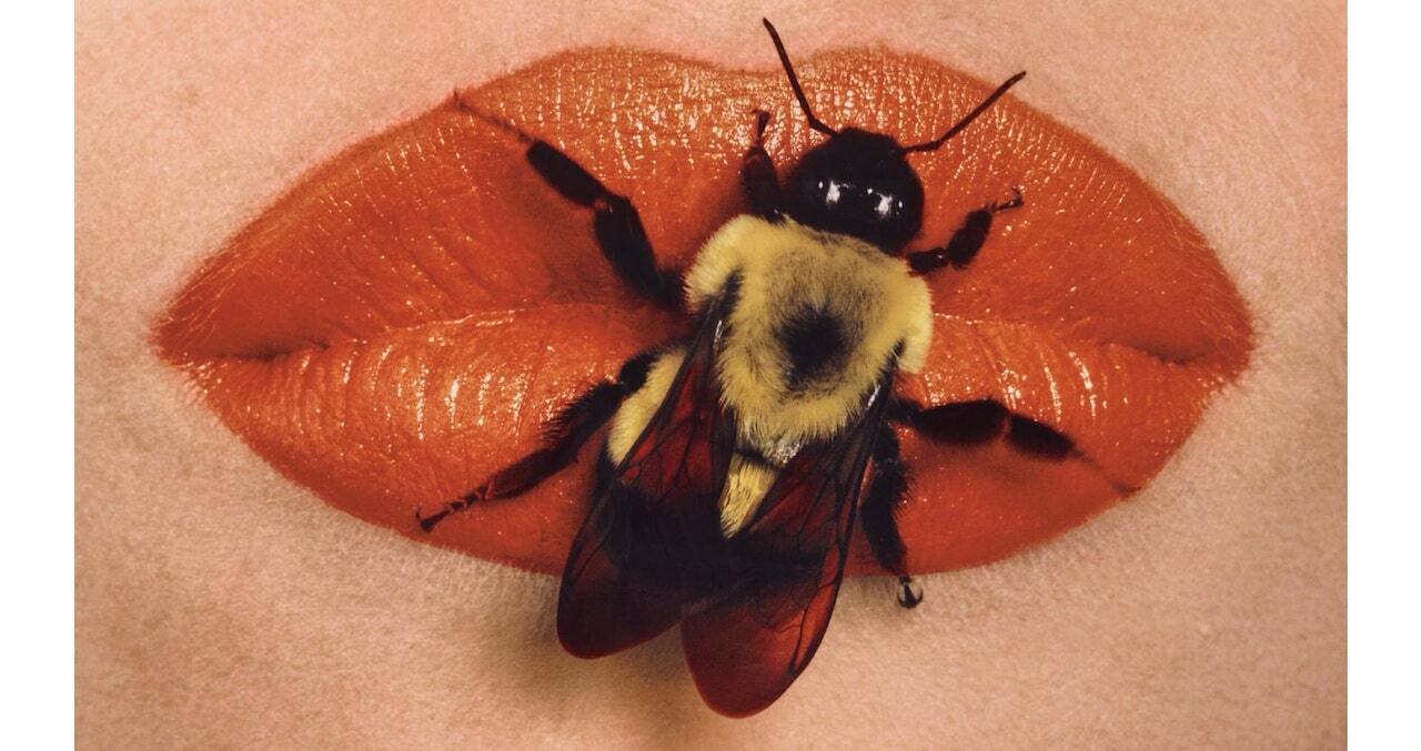 Irving_Penn. Bee on lips.1995. Courtesy Частная коллекция Марианны Сардаровой