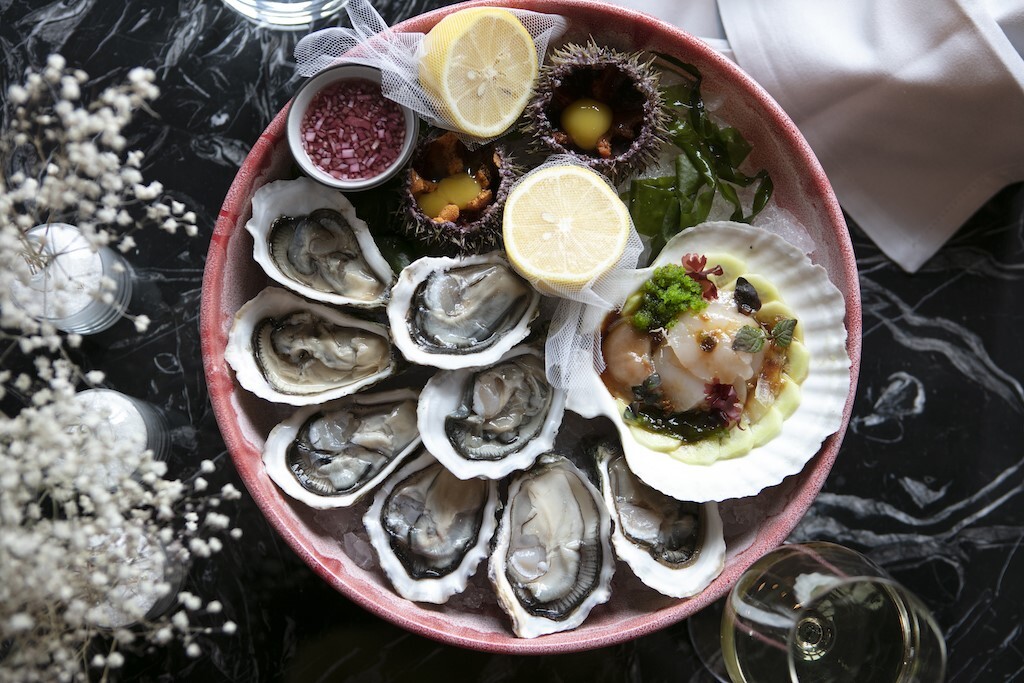 В Дом №8 появился аквариум с дарами моря