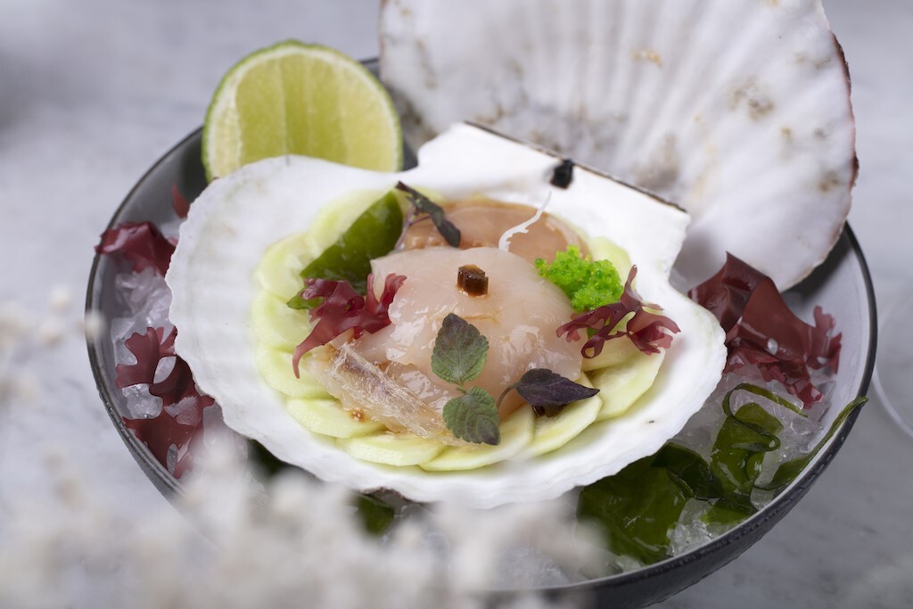 В Дом №8 появился аквариум с дарами моря