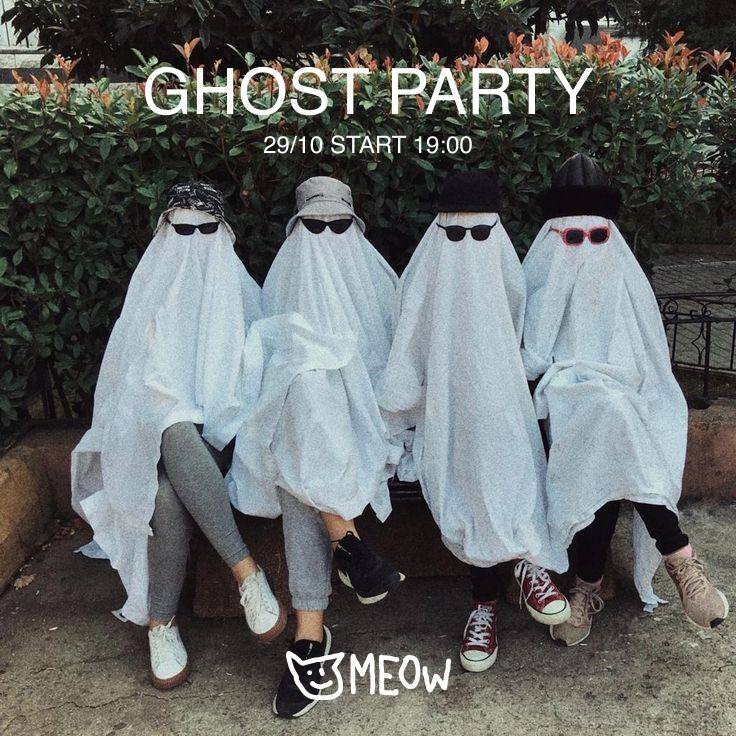 Ghost Party: призрачная вечеринка в баре Meow