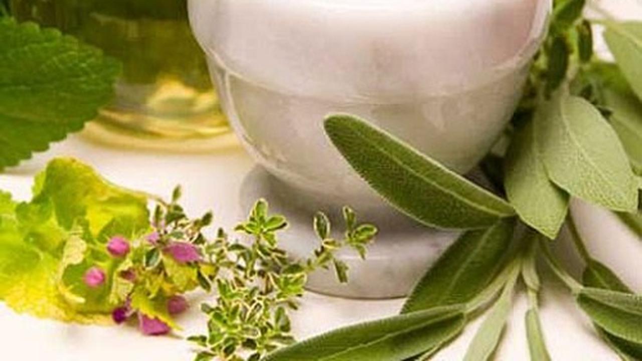 Травы, снижающие аппетит | WMJ.ru