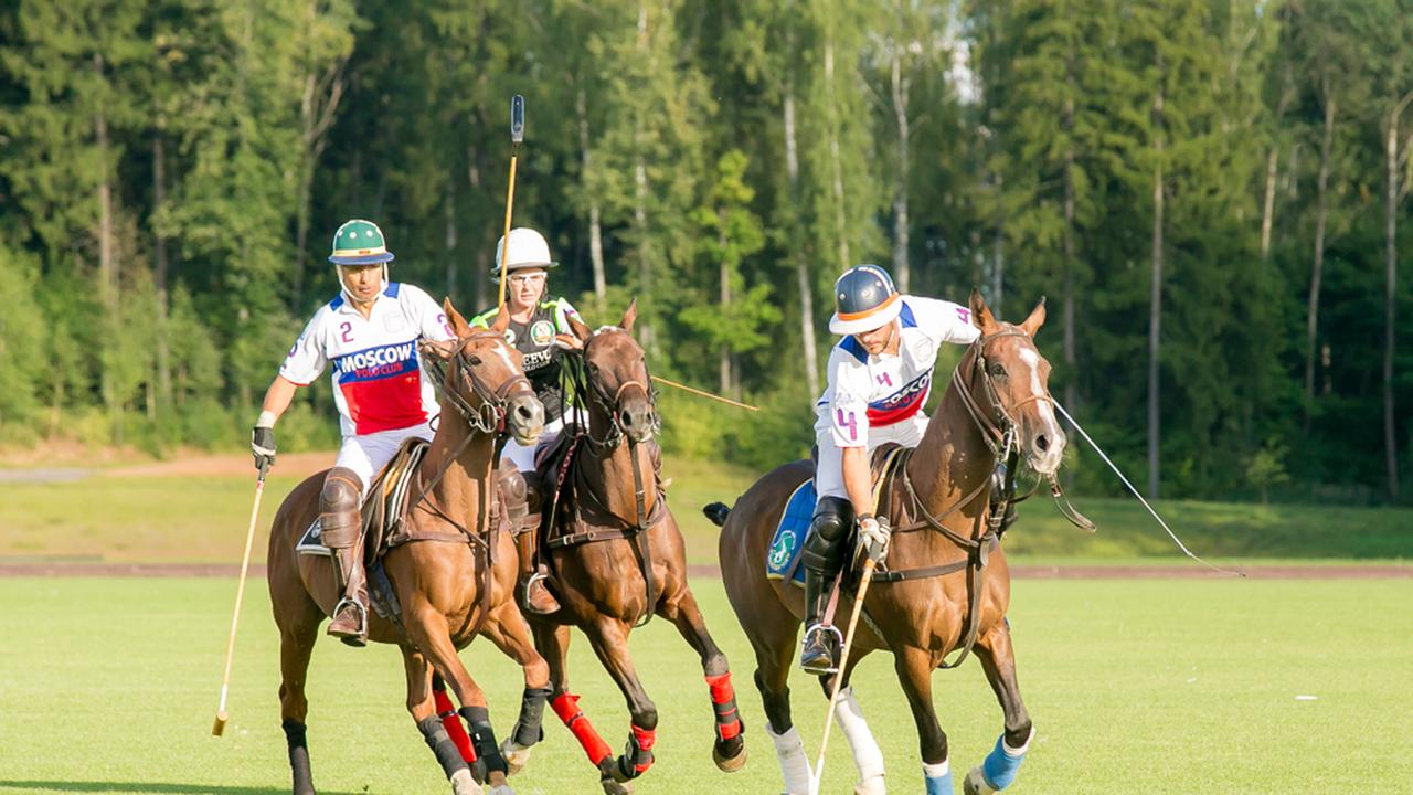Московский поло клуб Целеево