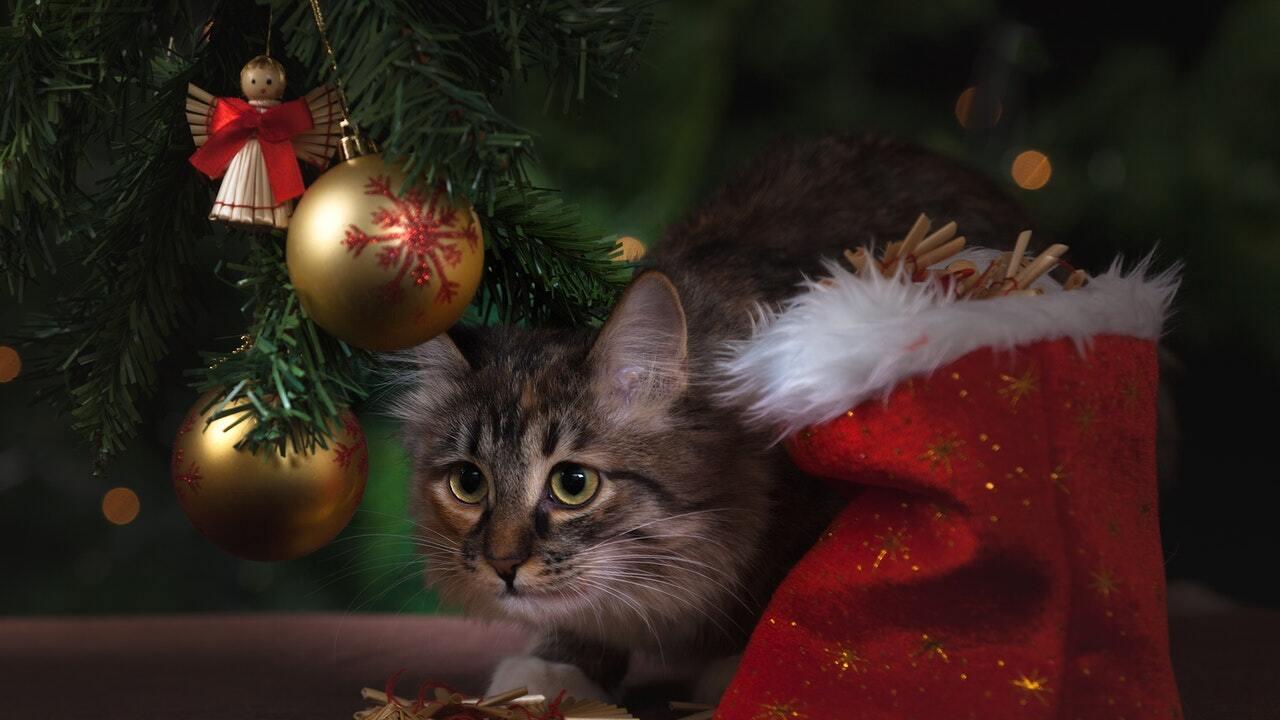 Новогодняя Игрушка Кот