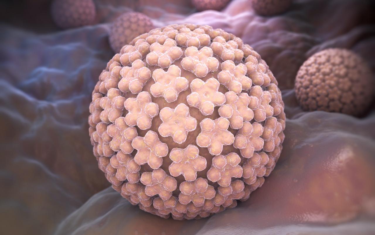 hpv rák gat A parazita tabletták hatékony felülvizsgálata